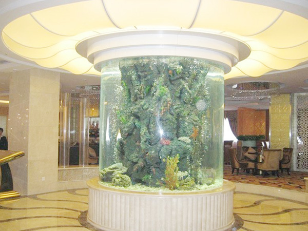 酒店魚缸建設