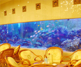 北京翠宮飯店亞克力魚缸